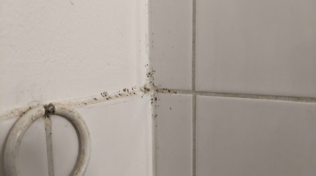 Kleine Schimmelflecken an Fliesenfugen im Badezimmer als typisches Warnsignal